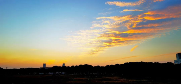 271701044018440951.png image.png